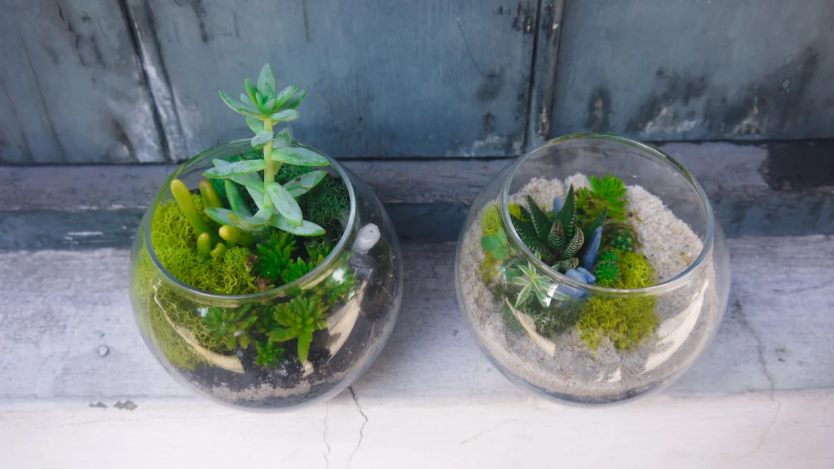 Succulent + Crystal Terrarium FQ-14.jpg