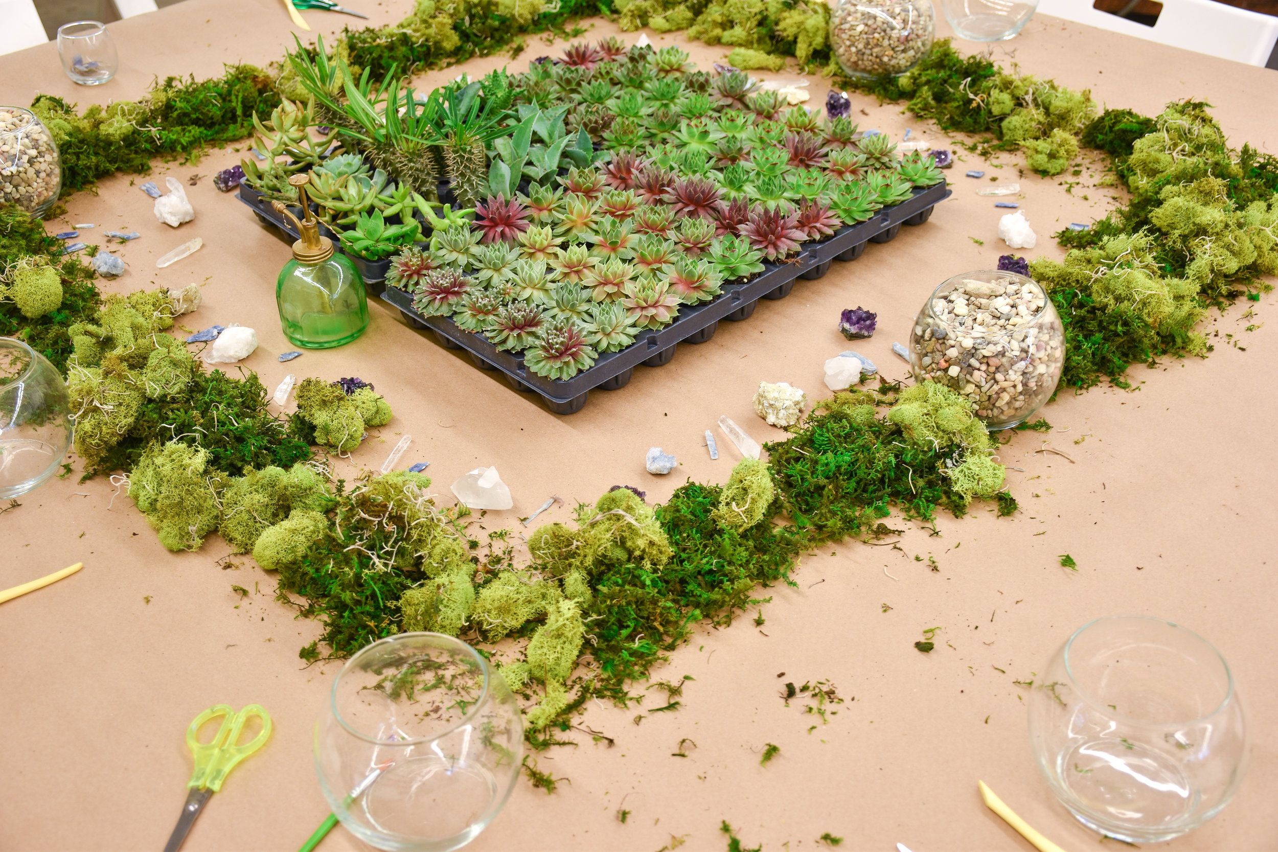 Succulent + Crystal-2.jpeg