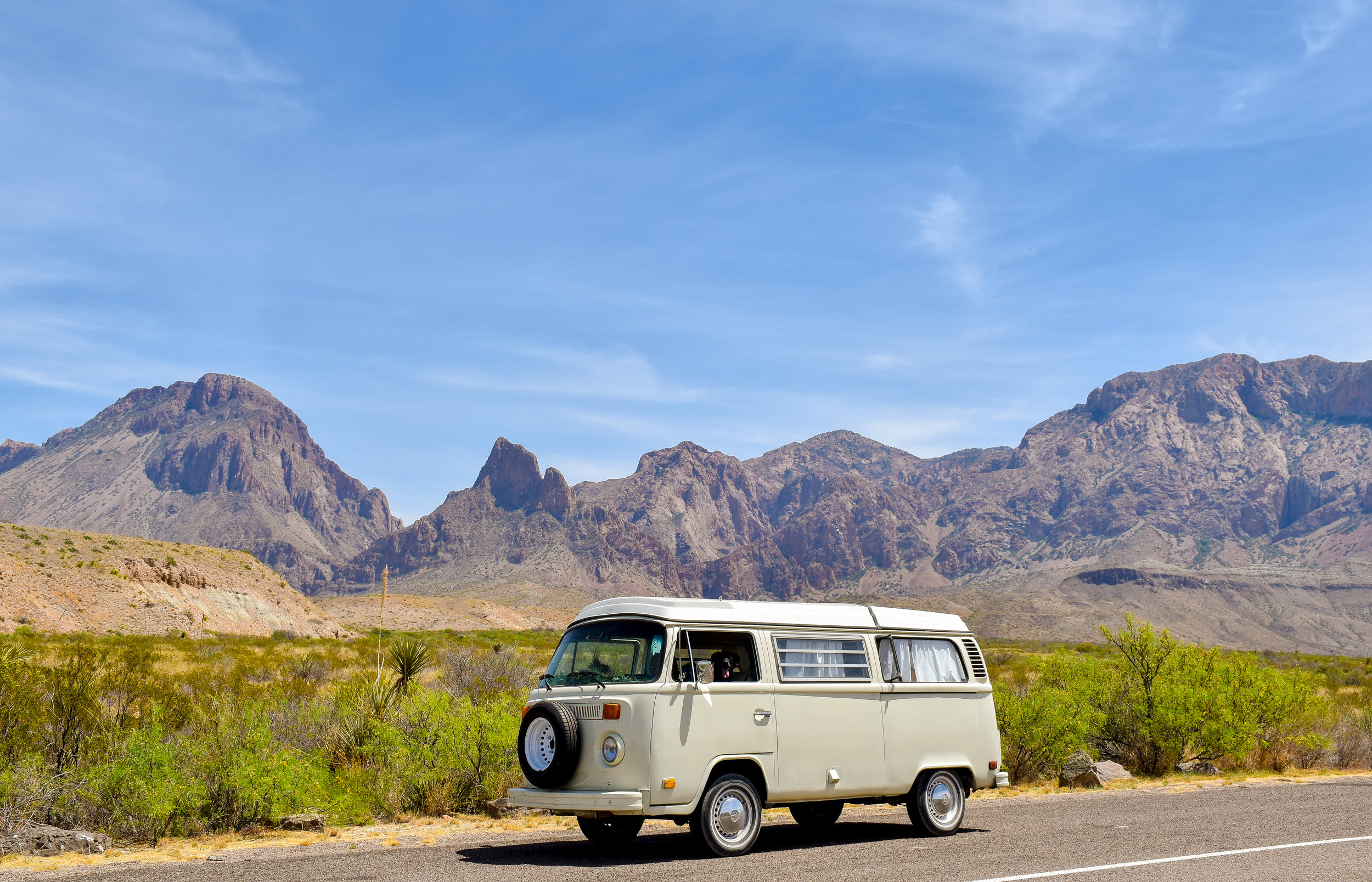 BigBend-1.jpeg