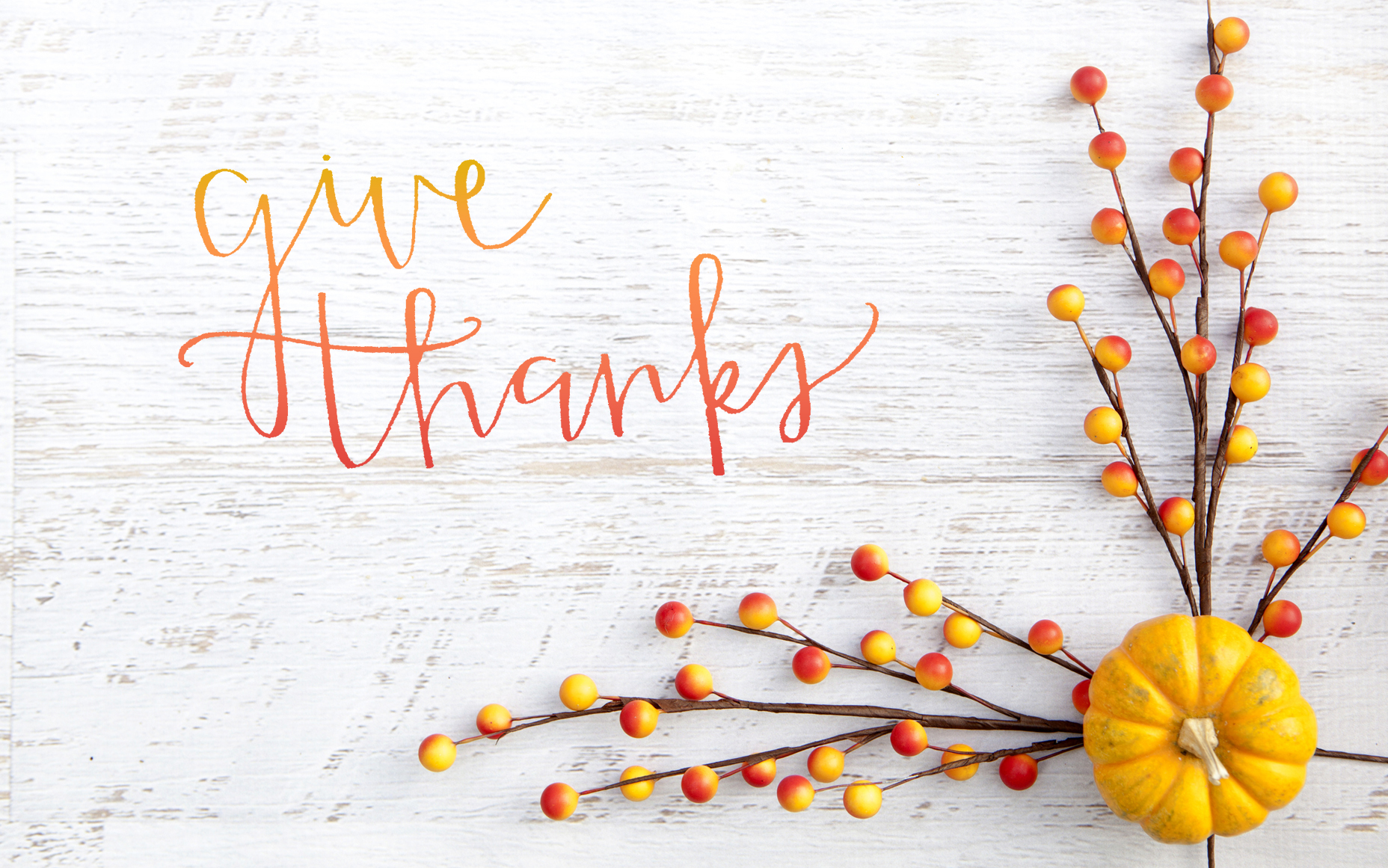 Thank you to Christina Hamilton, our guest blogger!