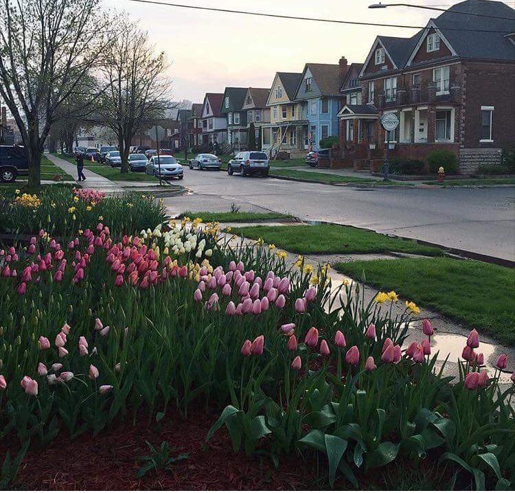 Spring in Corktown
