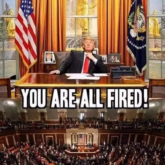 Trumpyou'refired.jpg