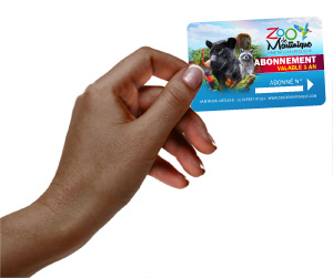 simulation-carte.jpg