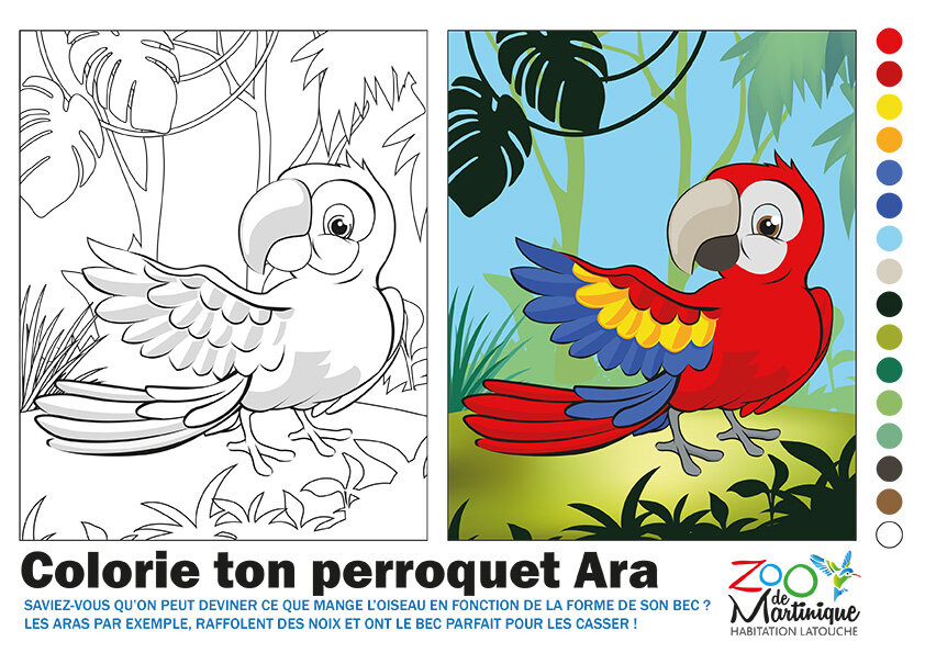 Jeux Coloriages Zoo De Martinique