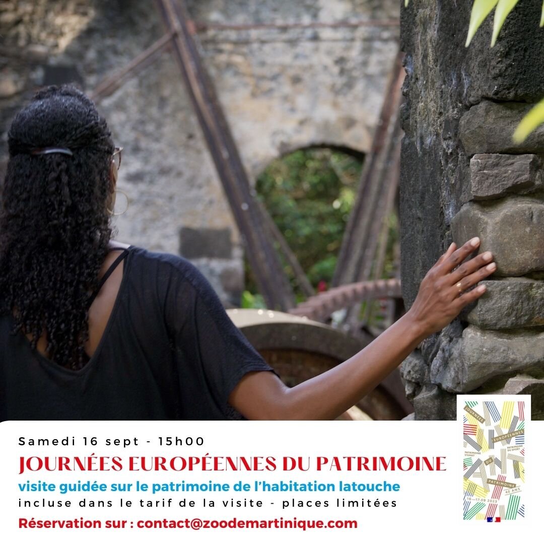 #journeeseuropeenesdupatrimoine au Zoo de Martinique 🌟
📆 Samedi 16.09 &agrave; 15h00
📍 Jardin Zoologique de l'Habitation Latouche

Plongez dans l'h&eacute;ritage martiniquais avec une visite guid&eacute;e sp&eacute;ciale qui r&eacute;v&egrave;le l