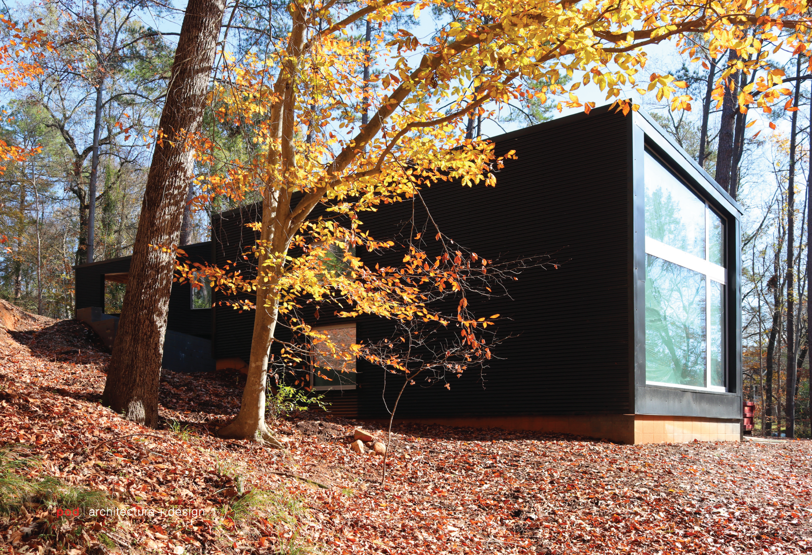 pod architecture+design_Carrboro House NC_5-01.png