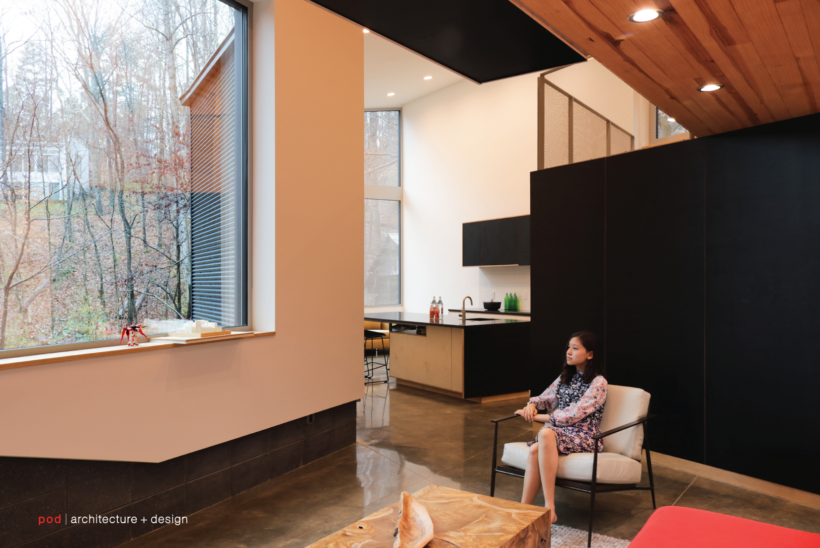 pod architecture+design_Carrboro Hillside House NC_6-01.png
