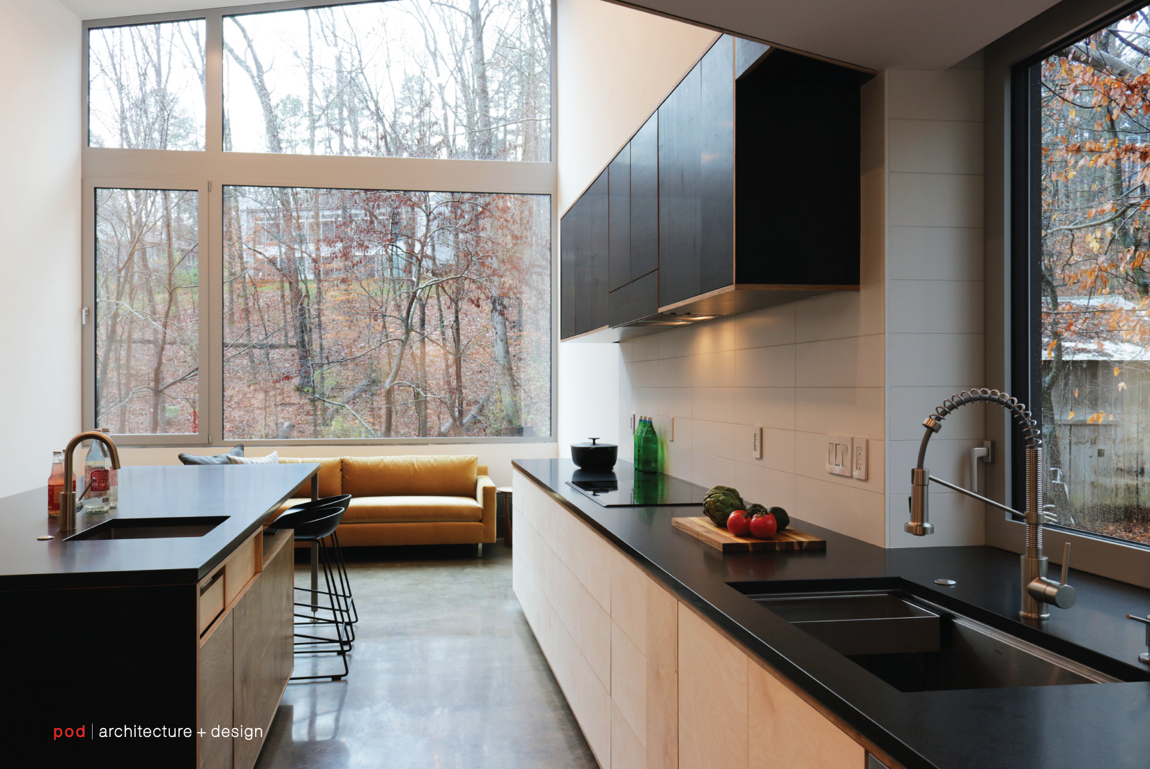 pod architecture+design_Carrboro Hillside House NC_6-06.png
