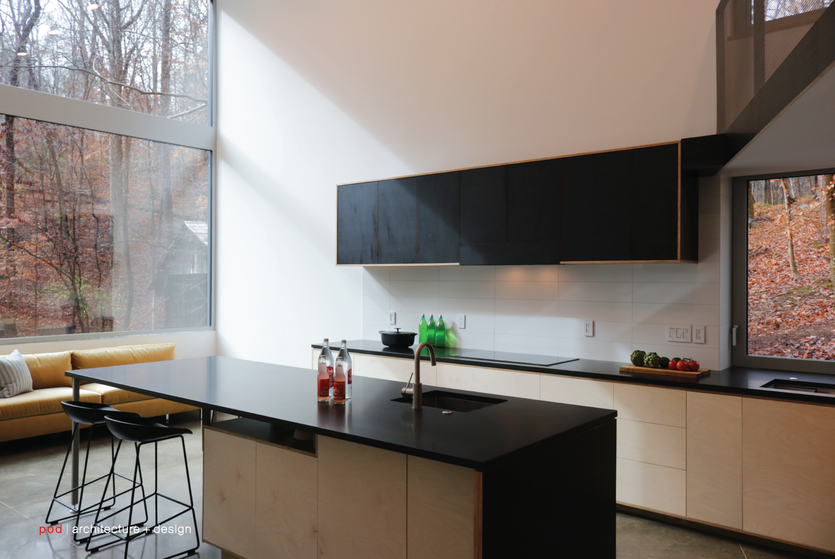 pod architecture+design_Carrboro Hillside House NC_6-10.png