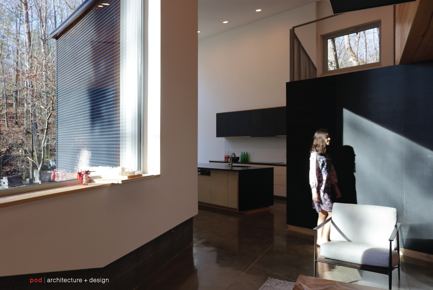 pod architecture+design_Carrboro Hillside House NC_6-15.png
