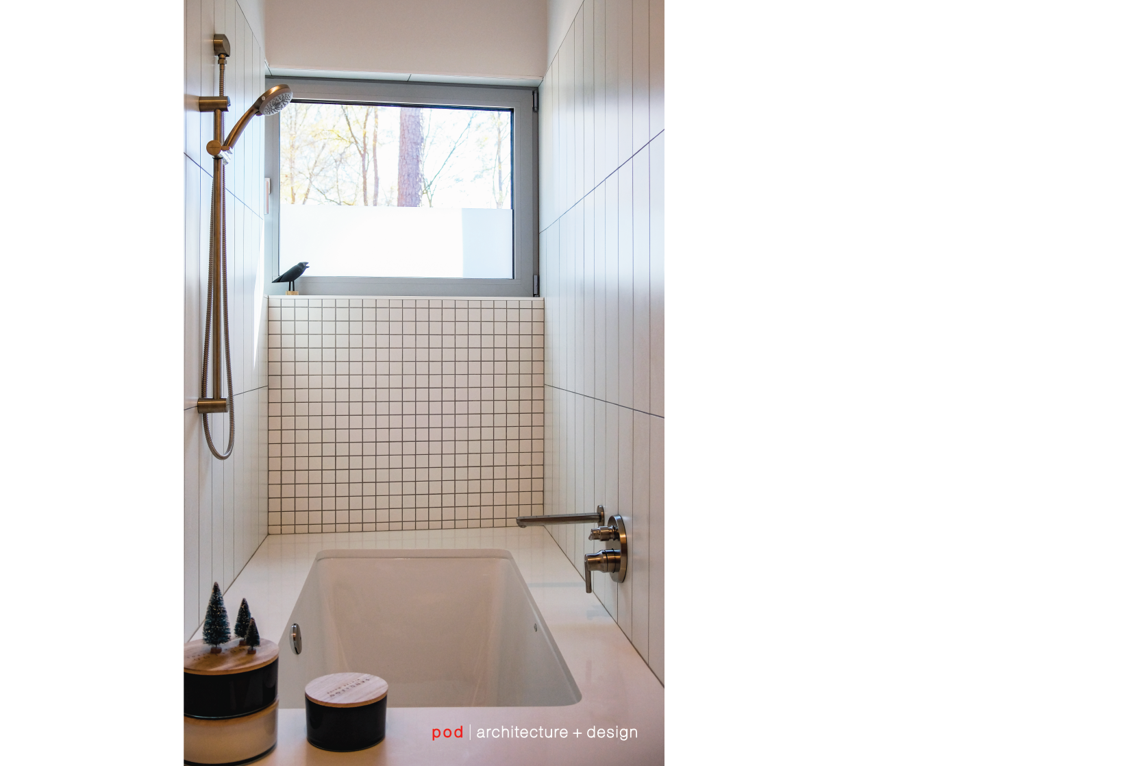 pod a+d_Hillside House NC_Allen Weiss-10.png