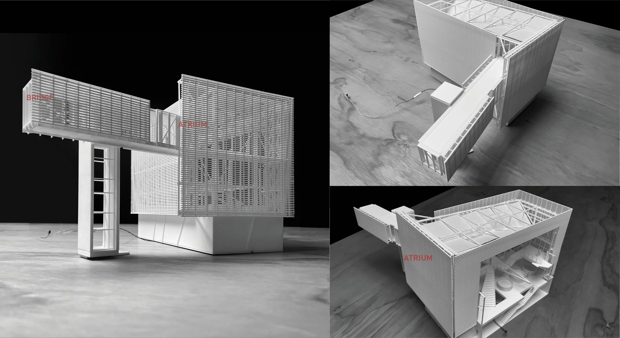 pod a+d_RH_2025 BIENNIAL38.jpg