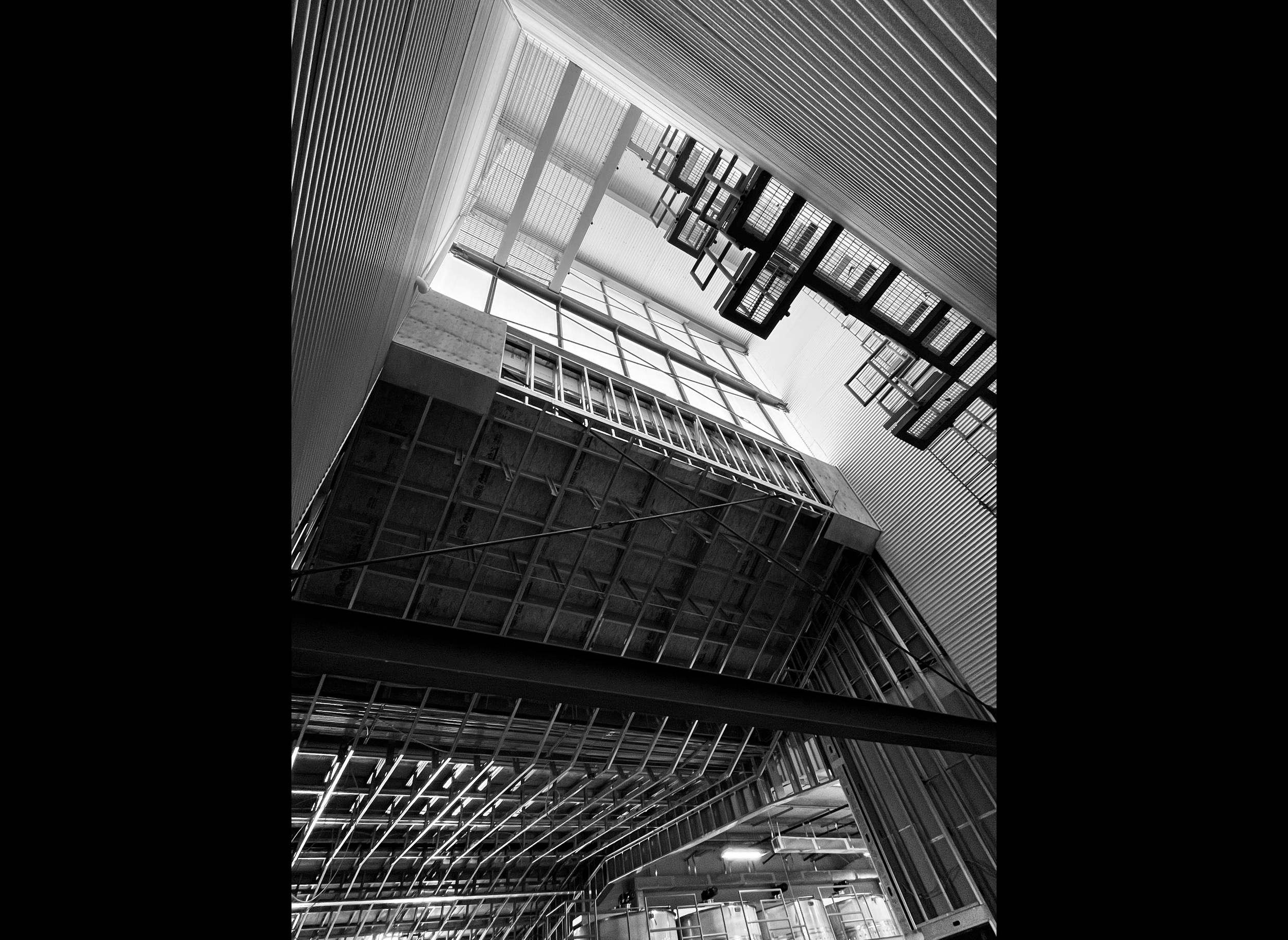 pod a+d_Liberty and Plenty_WILSON_4068BW2.png