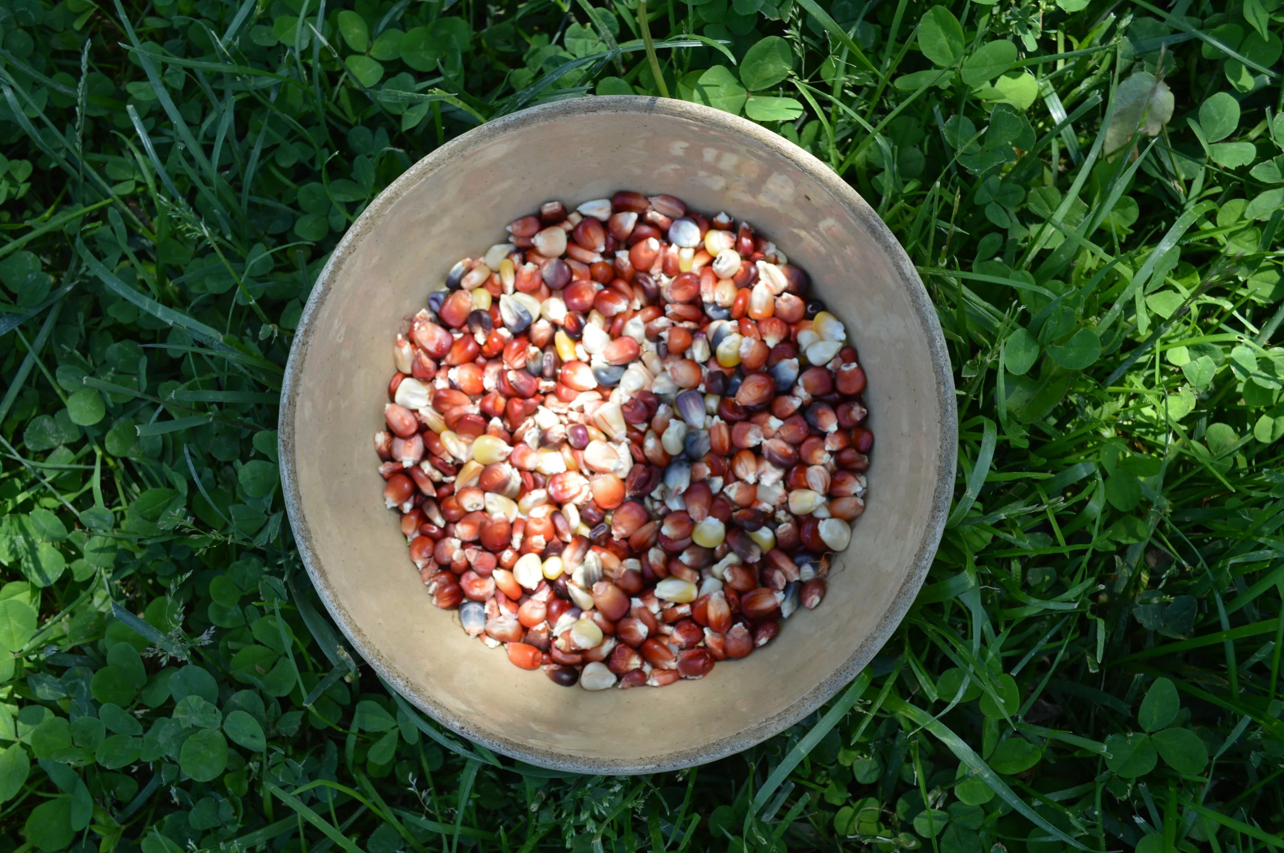 Greenbrier Valley Grown