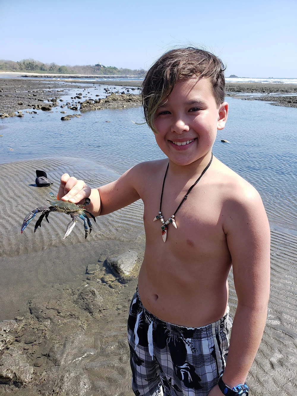 Hunting for crabs on the beach
