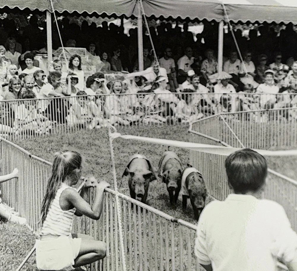 Pig races.jpg
