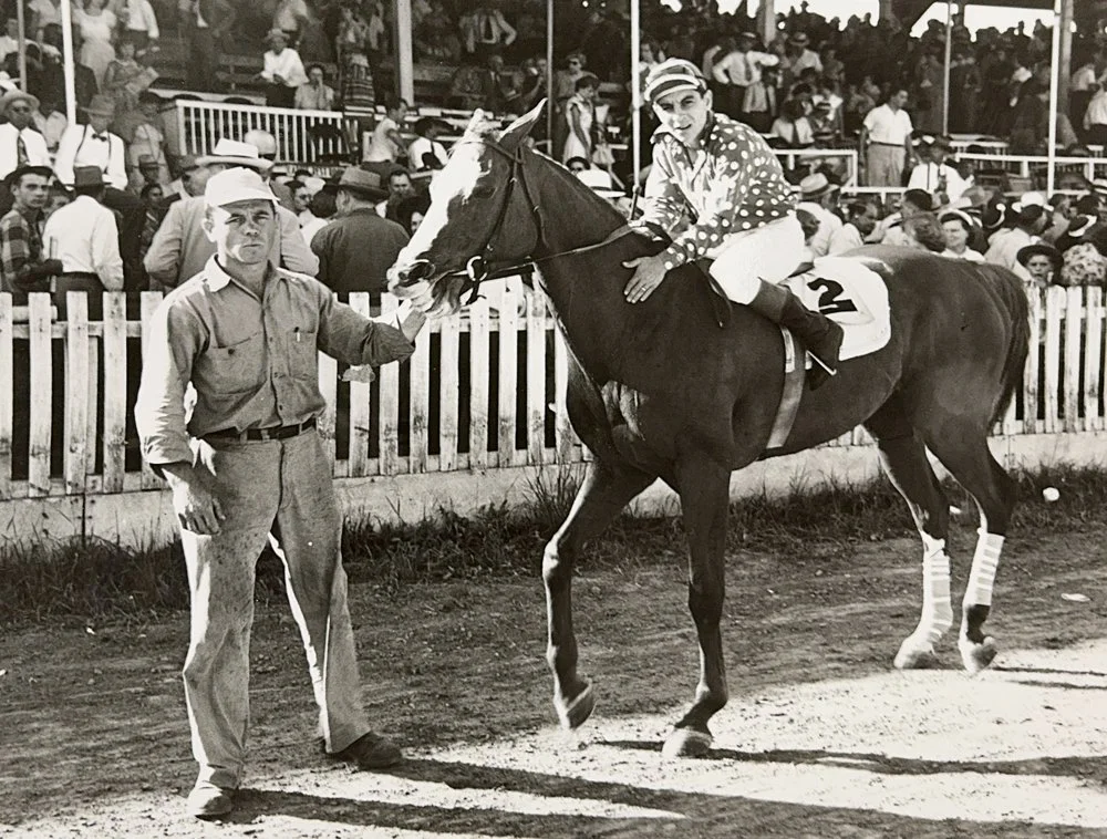 Unknown Thoroughbred racing.jpg