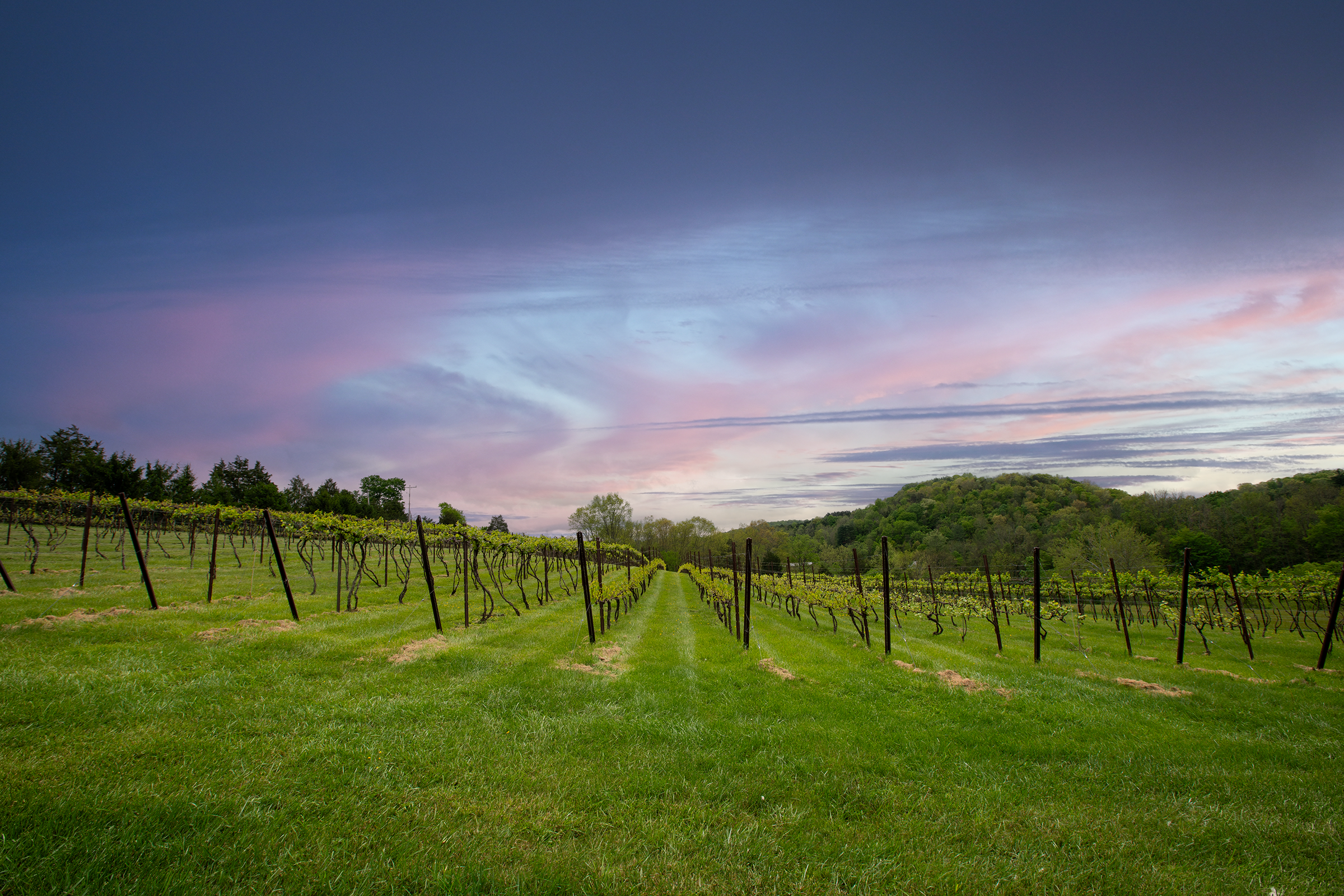Pouring Community, One Glass at a Time 