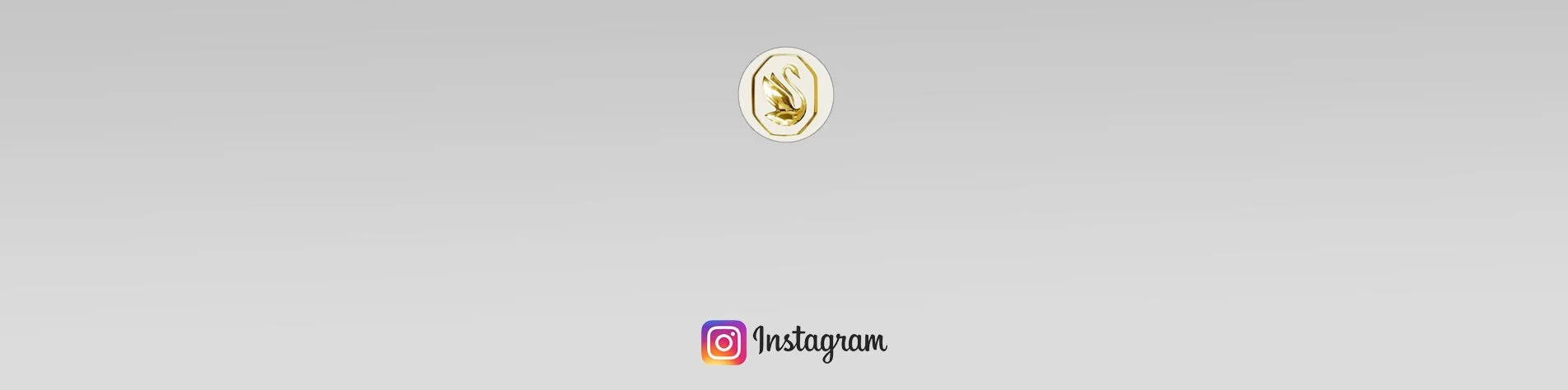 banner_image_jewelry_swarski.jpg