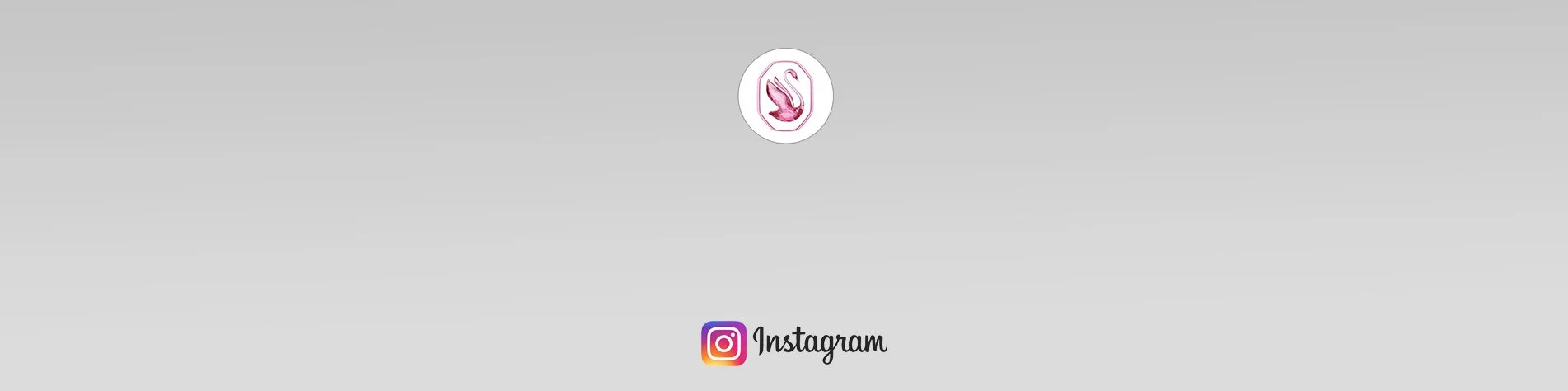banner_image_jewelry_swarski-pink.jpg