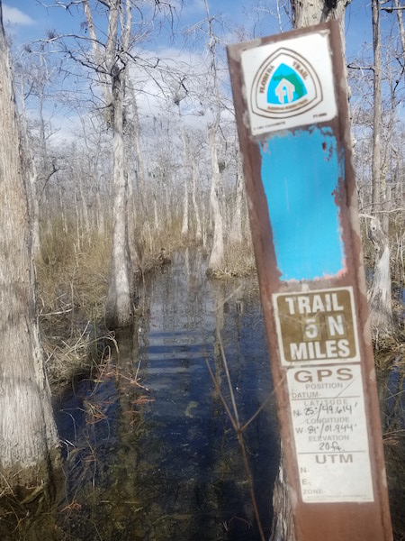 FL.1.26.18.jpg