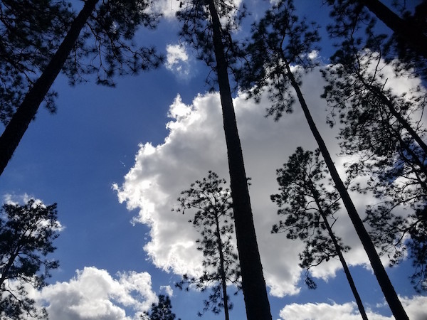 FL.2.19.18.b.jpg
