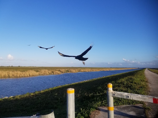 FL.2.19.18.c.jpg
