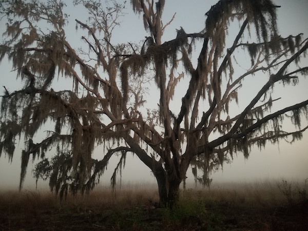 FL.2.26.18.b.jpg