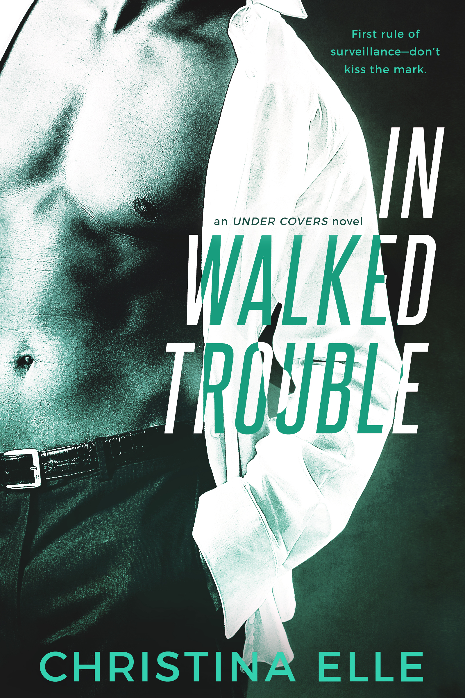 In Walks Trouble cover.jpg