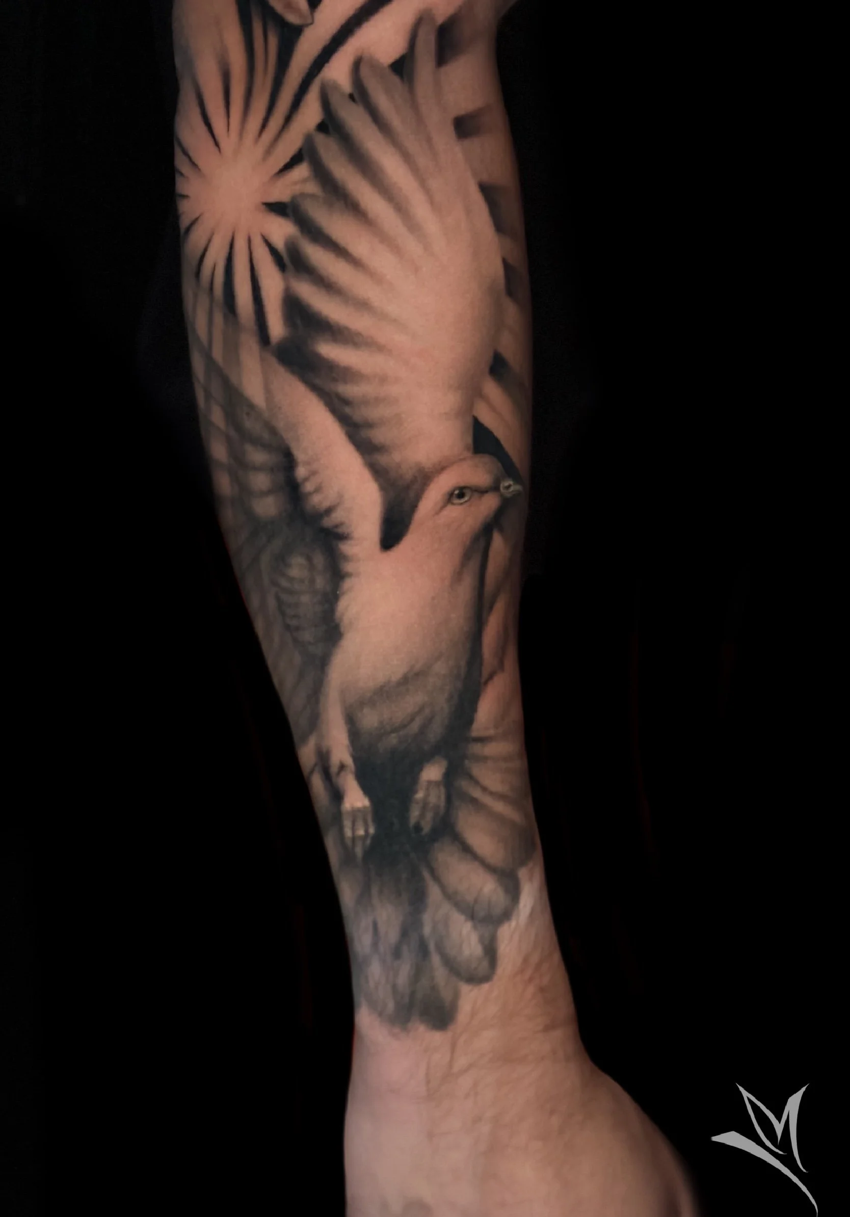 Untitled_Artwork 47.jpg