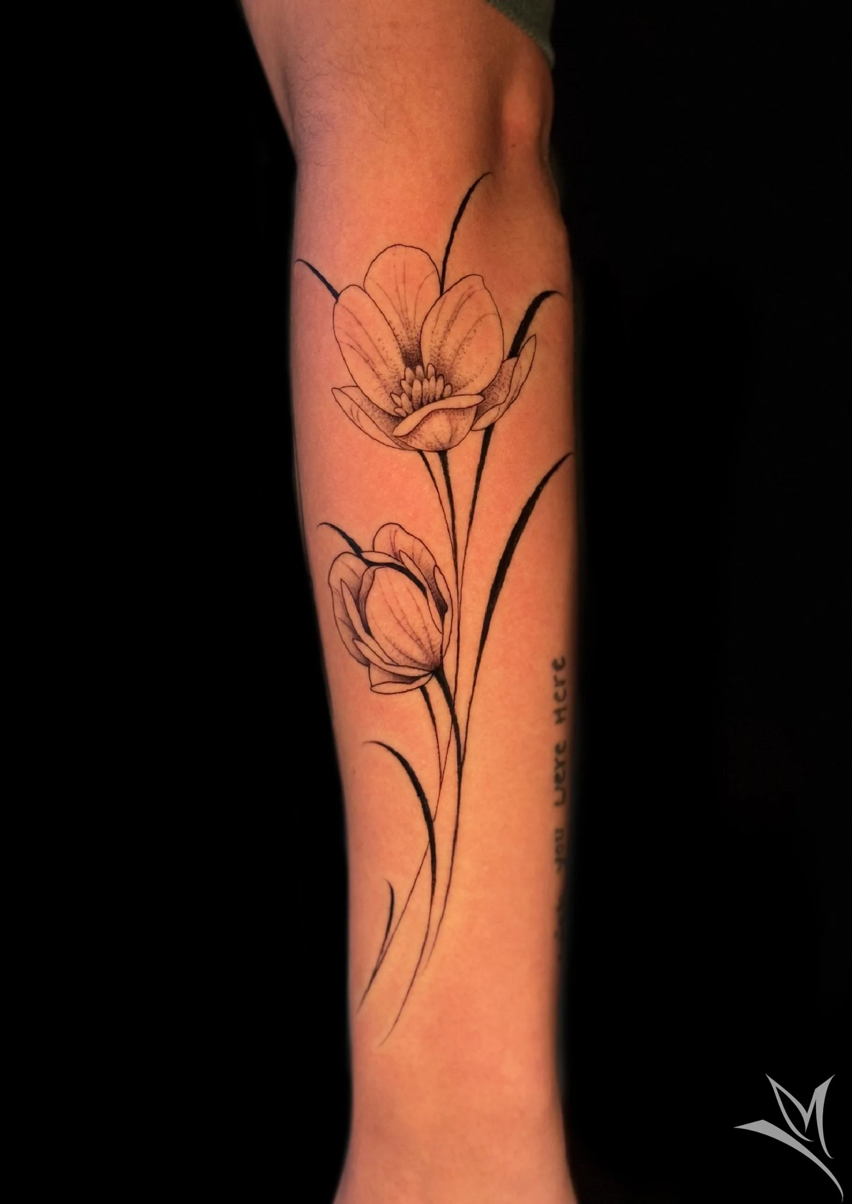 Untitled_Artwork 49.jpg