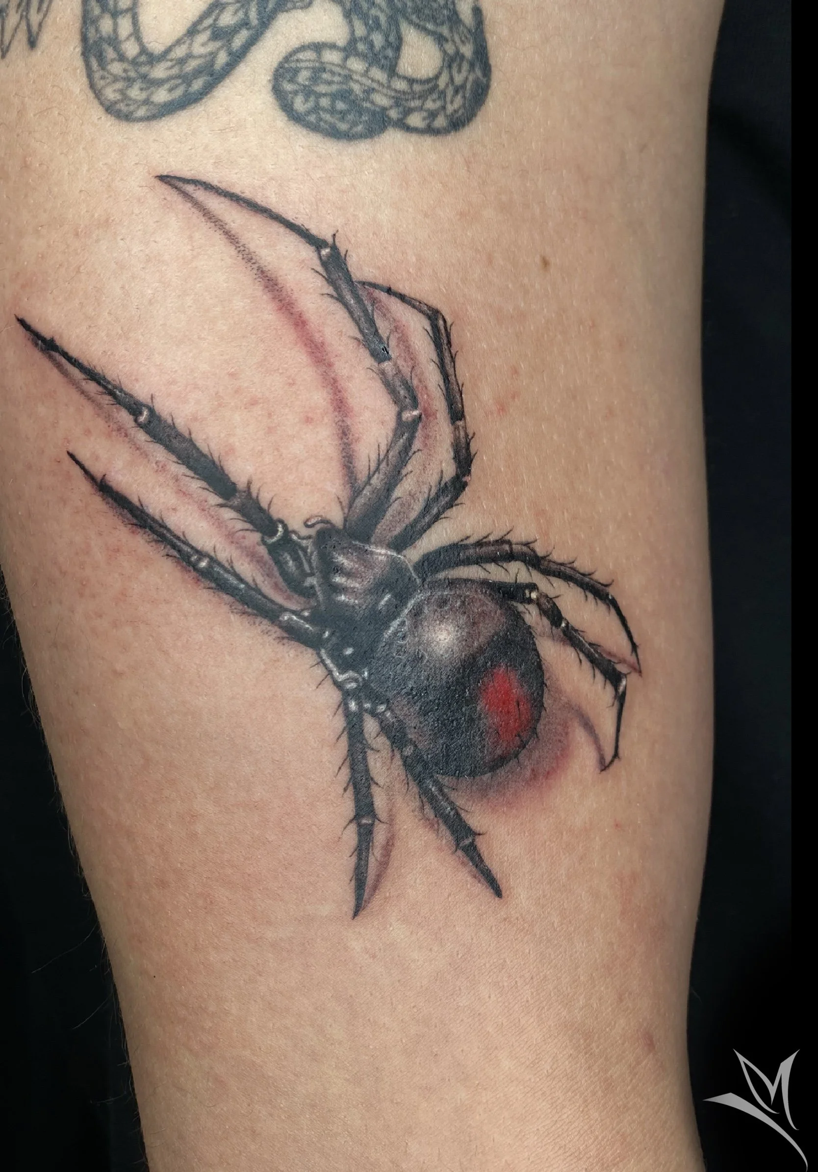 Untitled_Artwork 61.jpg