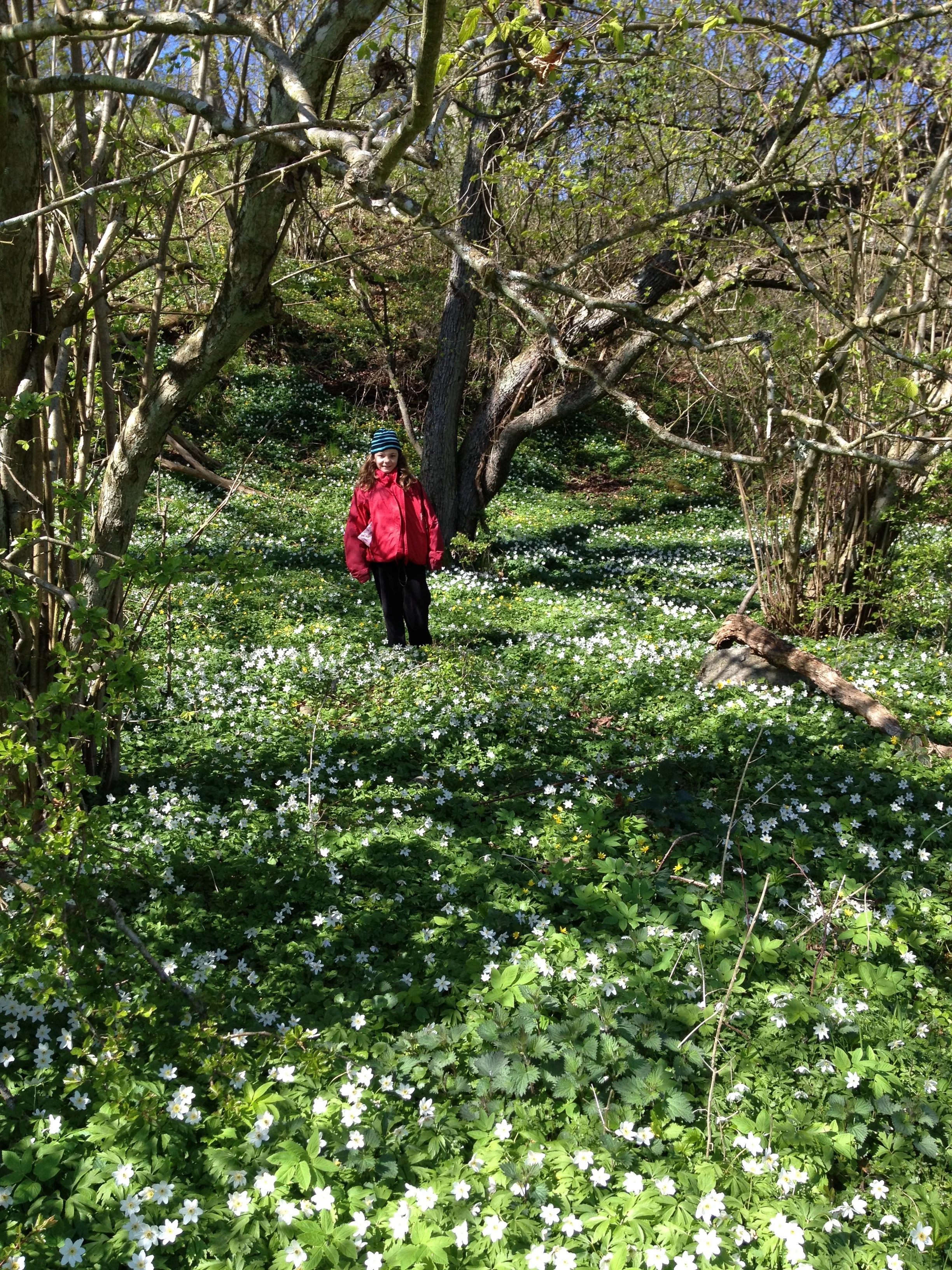Nature trail.jpg