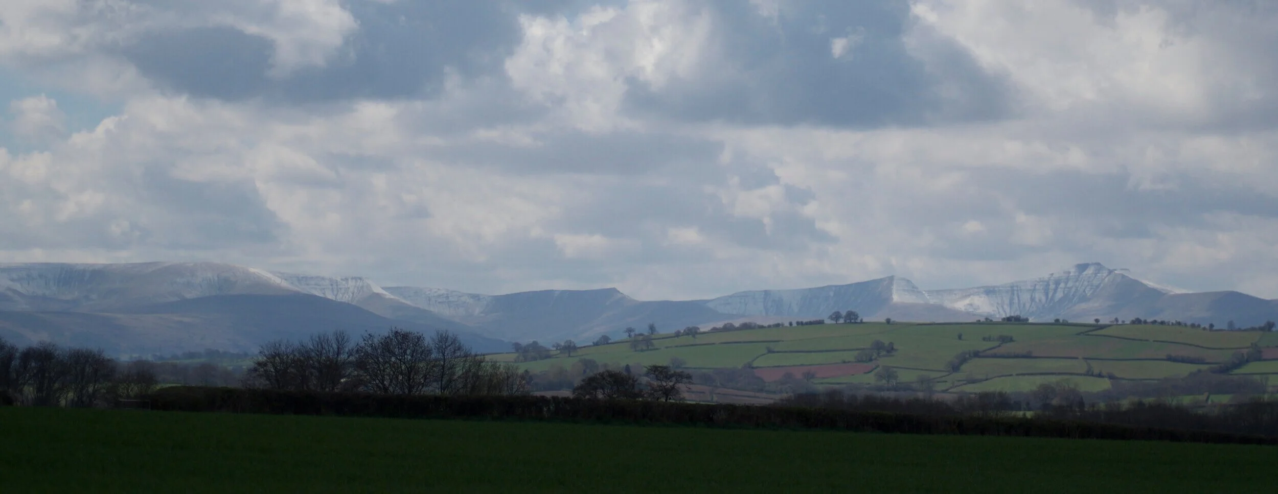 DSC_0385.jpg