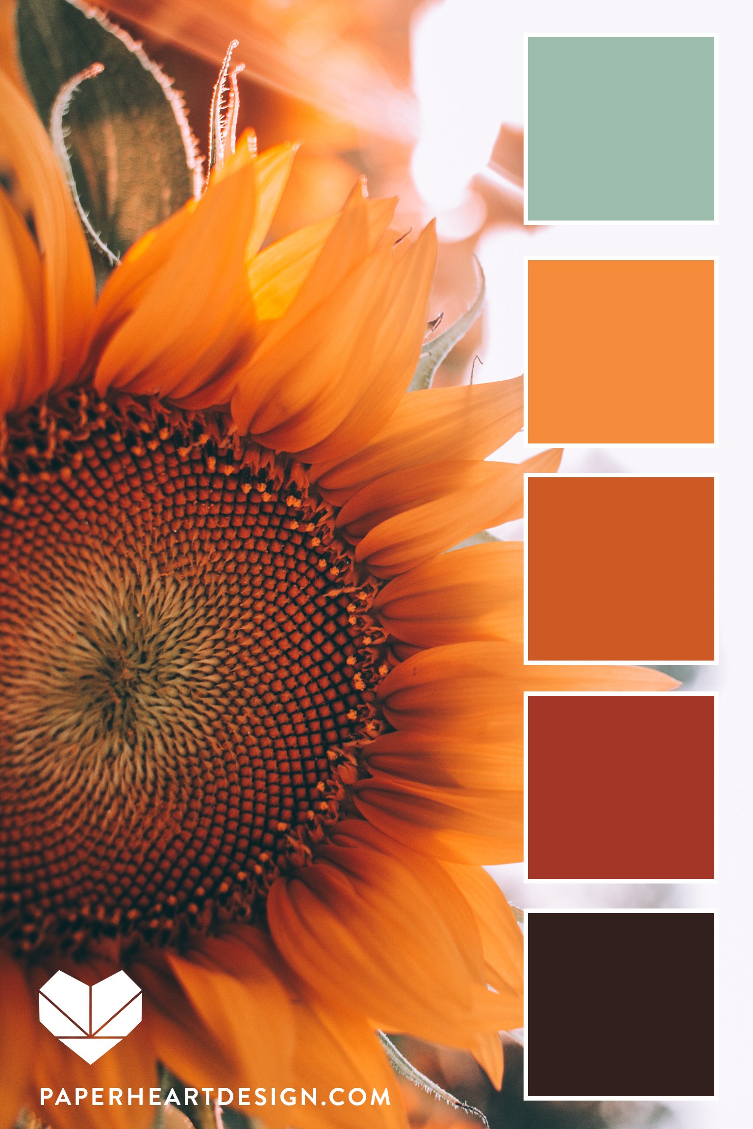 Color Palette: Herbs + Spices Earth Tones — Paper Heart Design
