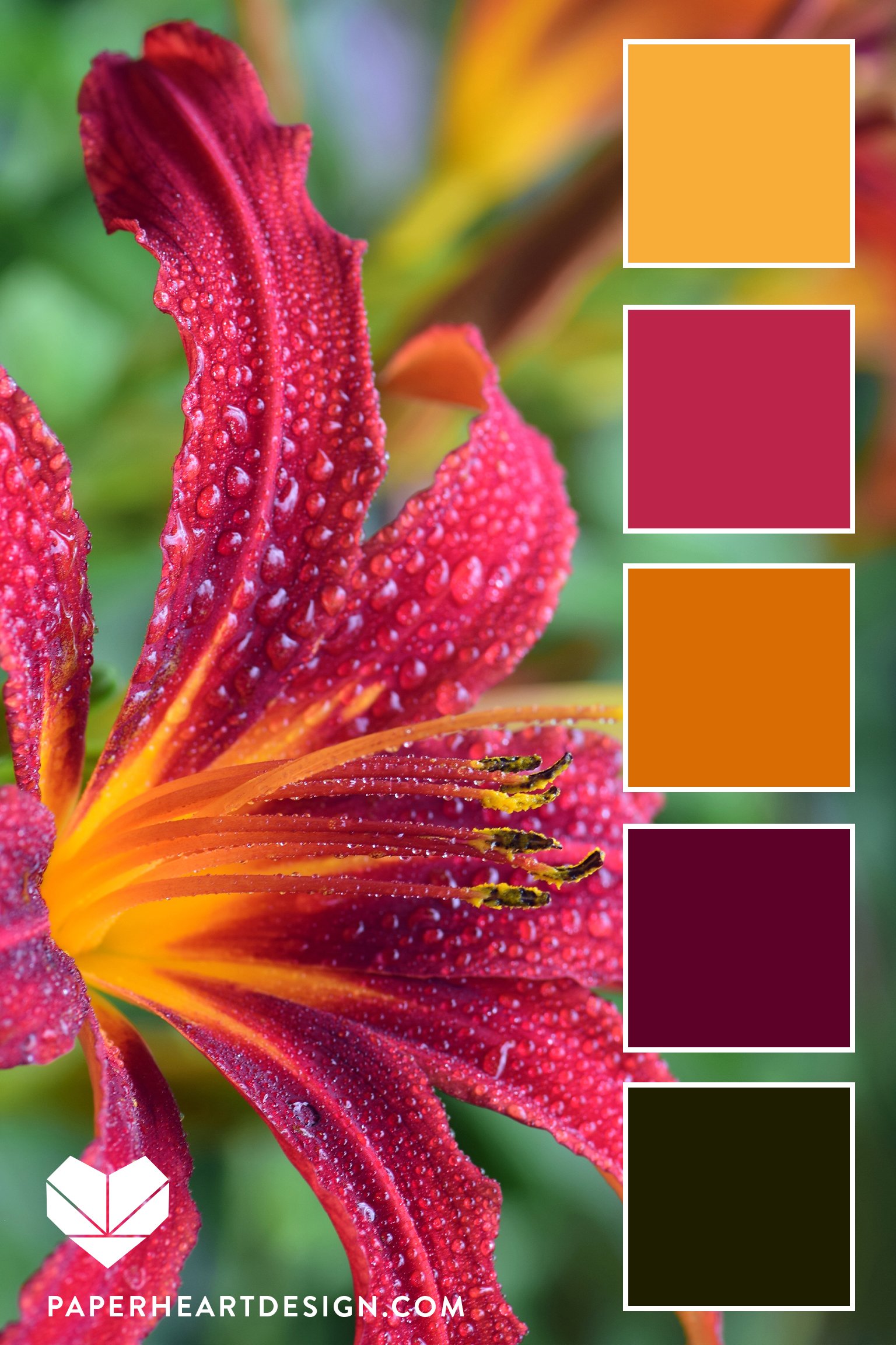 Exploring Viva Magenta Flowers and Pantone's 2023 Color of the Year -  Cascade Floral Wholesale