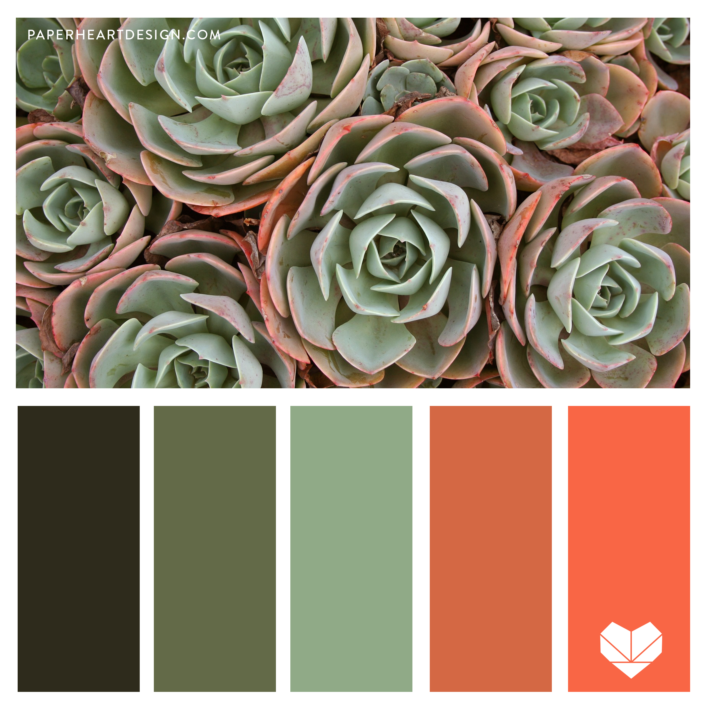Color Palette 002 Living Coral Paper Heart Design