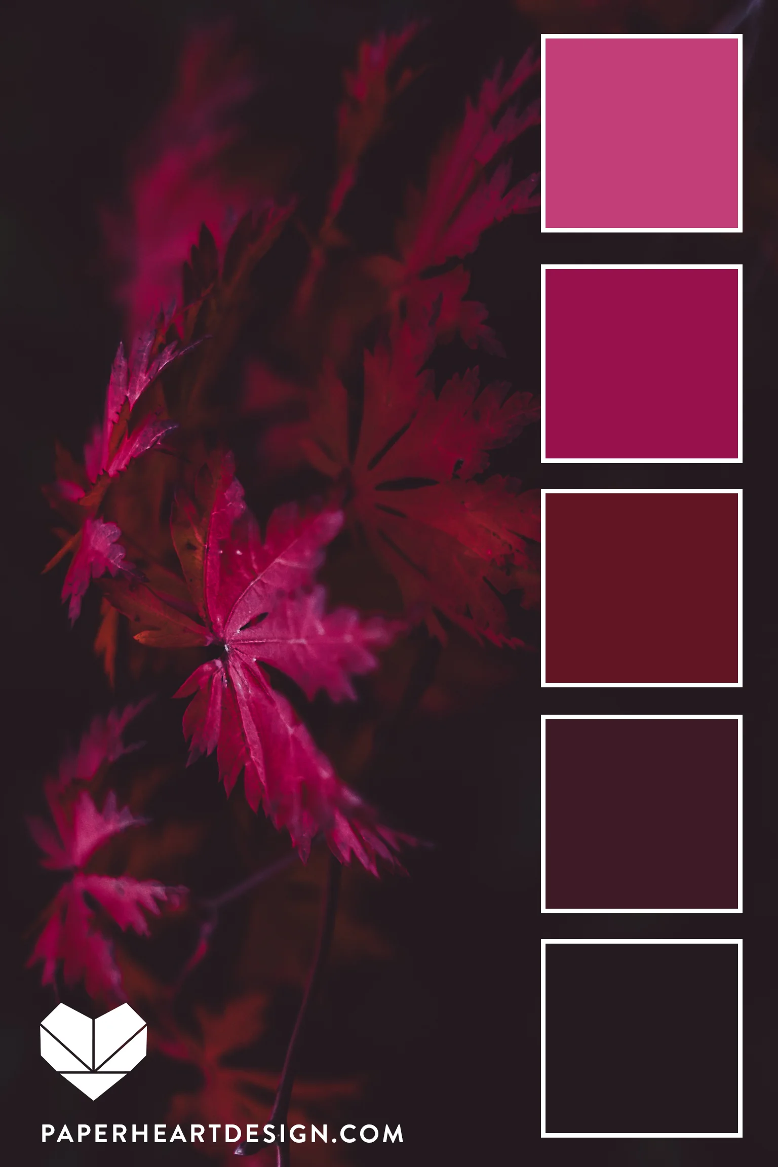 Monochromatic shades are a timeless way to create a color palette in any tone. This deep burgundy to saturated blush palette would be stunning for a branding package.