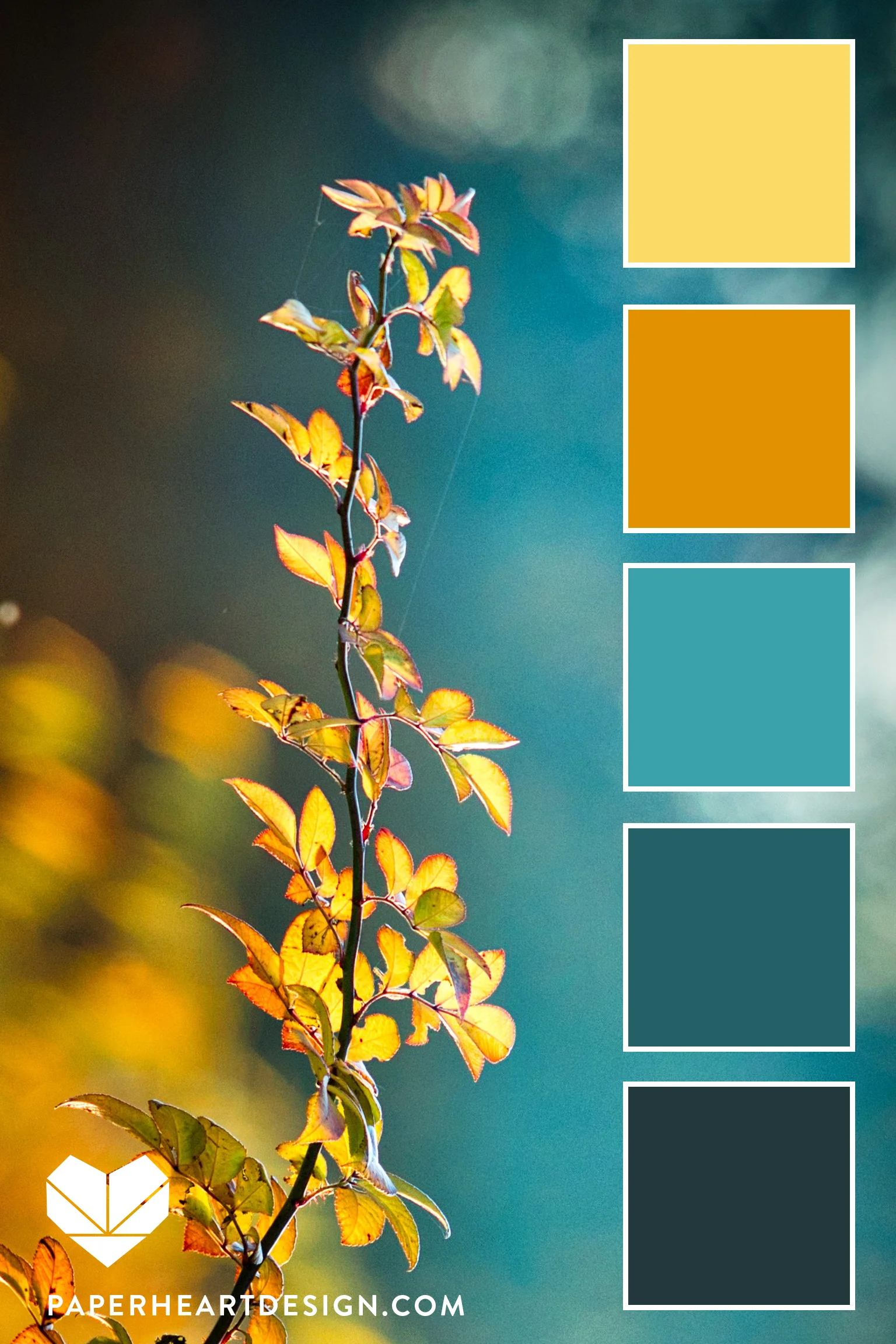 Teal is a color often overlooked in autumn, but it’s there and it’s fantastic!