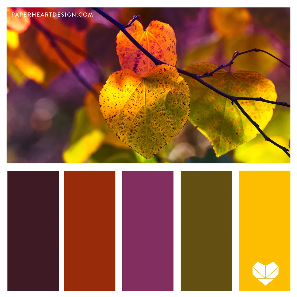 Color Palette: Autumn Leaf Love — Paper Heart Design Co.