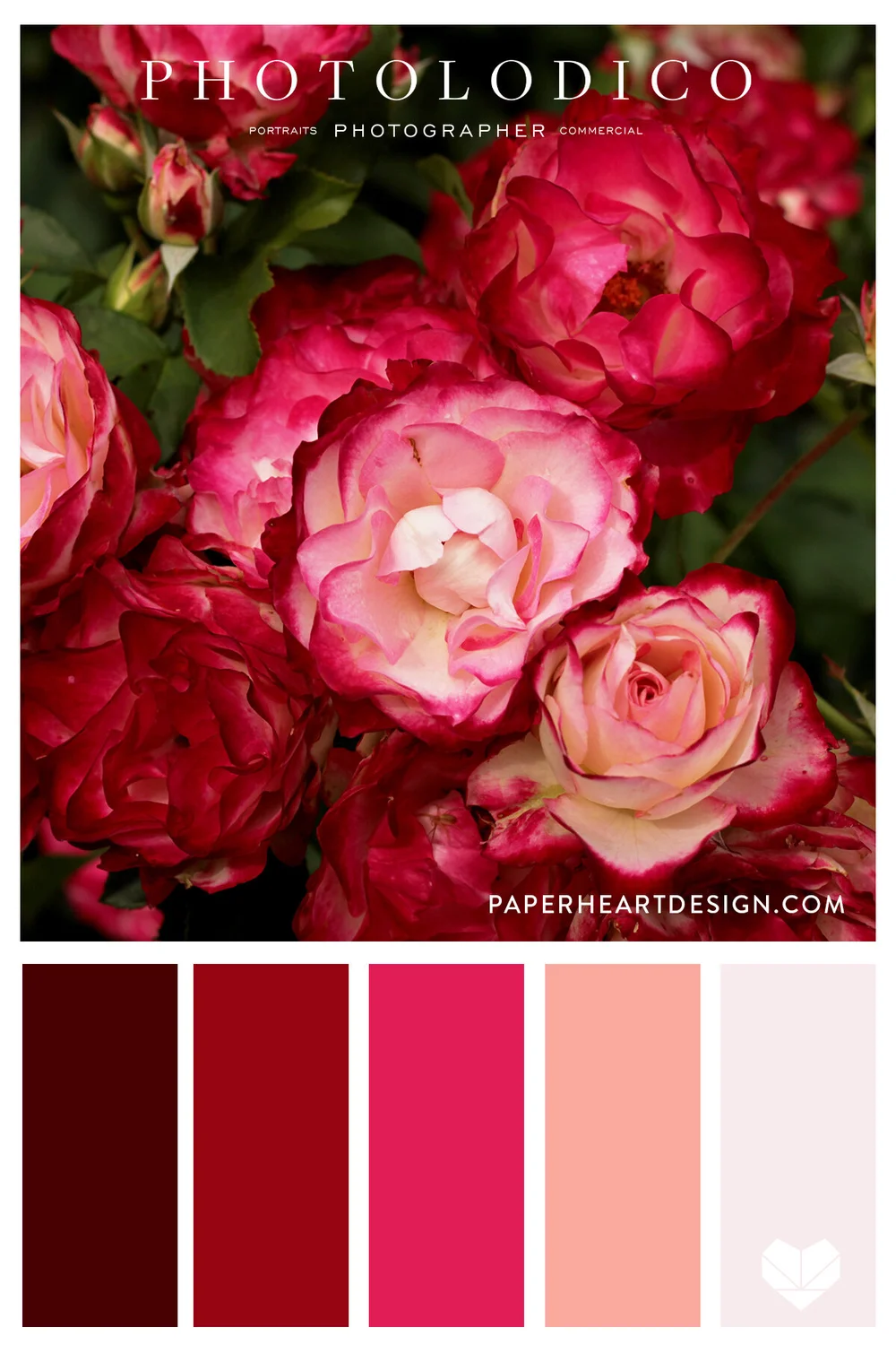 Color Palette: Rose Garden — Paper Heart Design