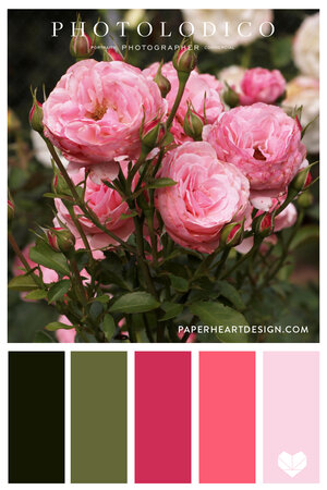 Color Palette: Rose Garden — Paper Heart Design