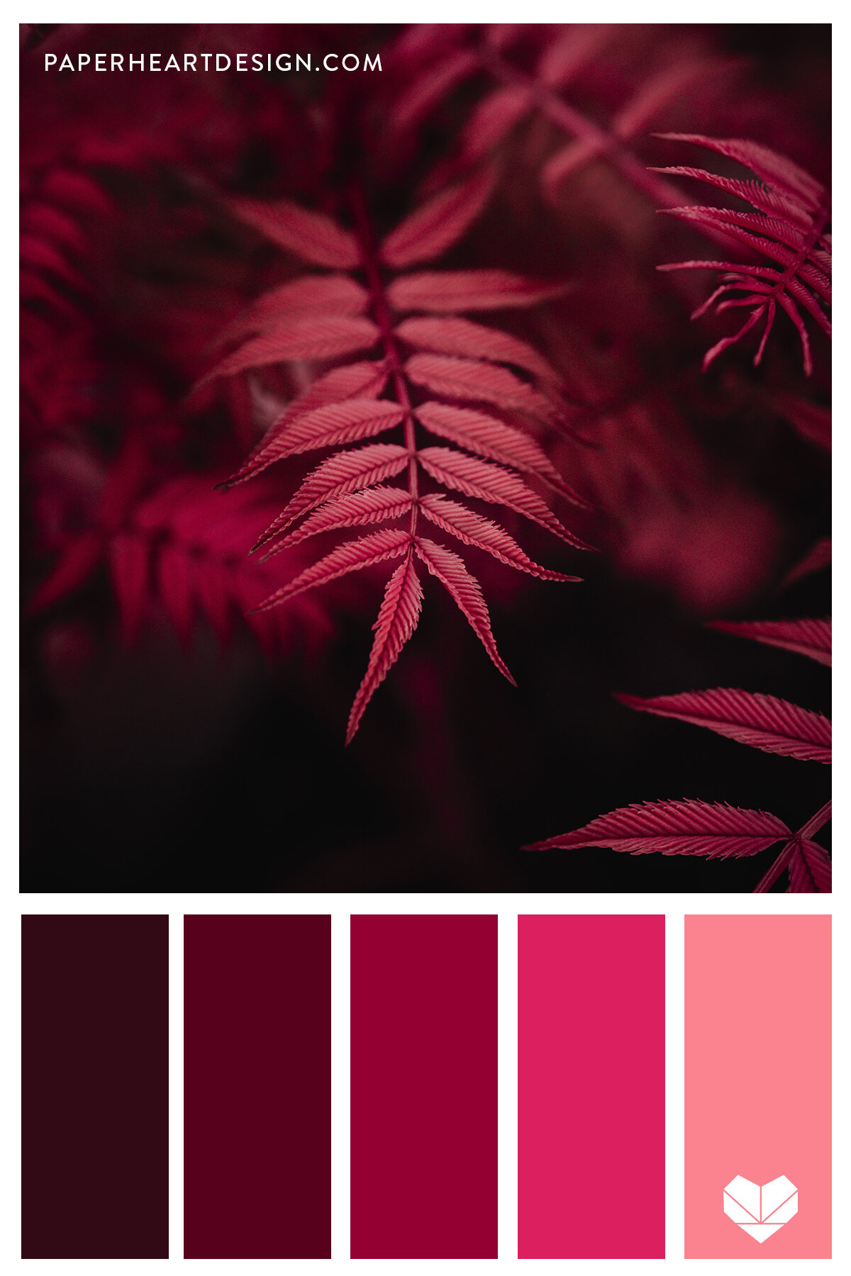 Color Radiant Reds — Paper Heart
