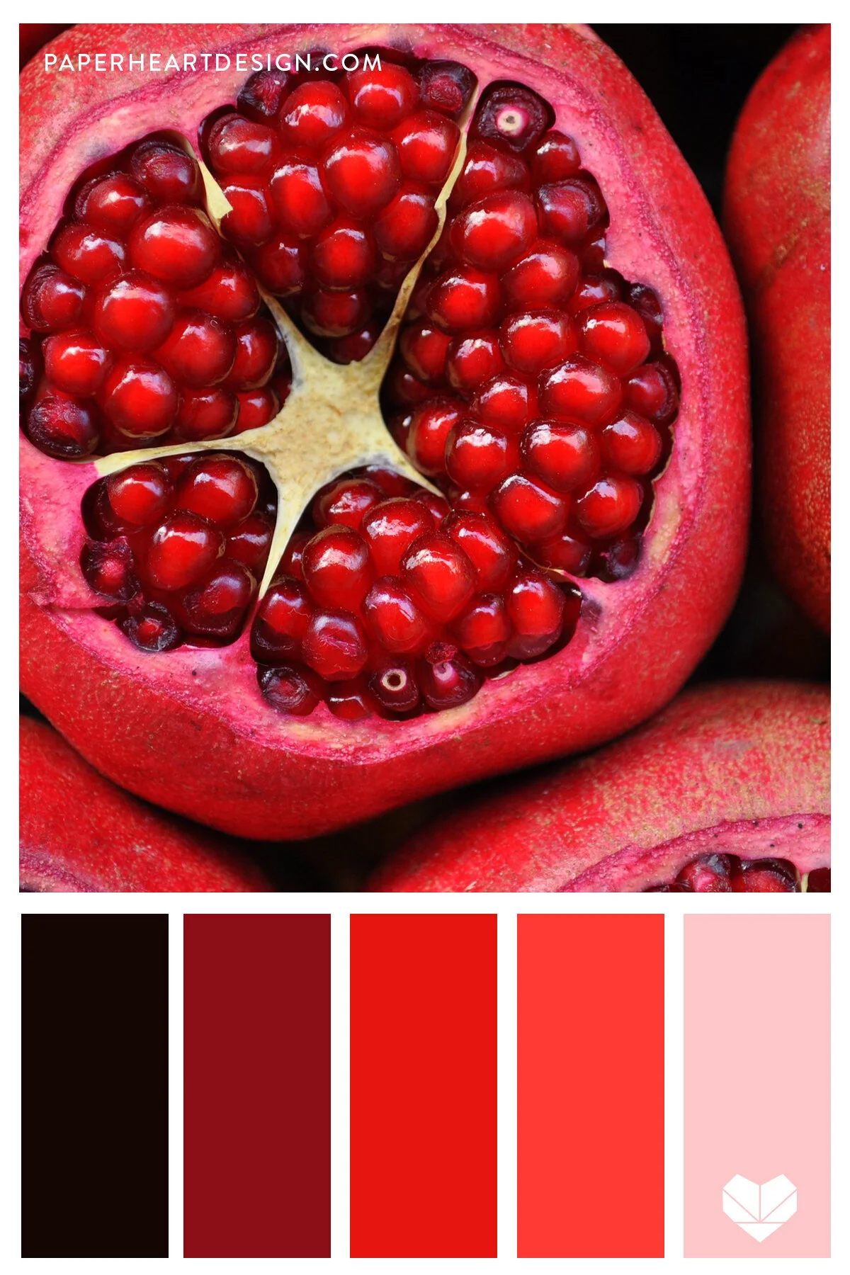 Color Palette: Radiant Reds — Paper Heart Design Co.