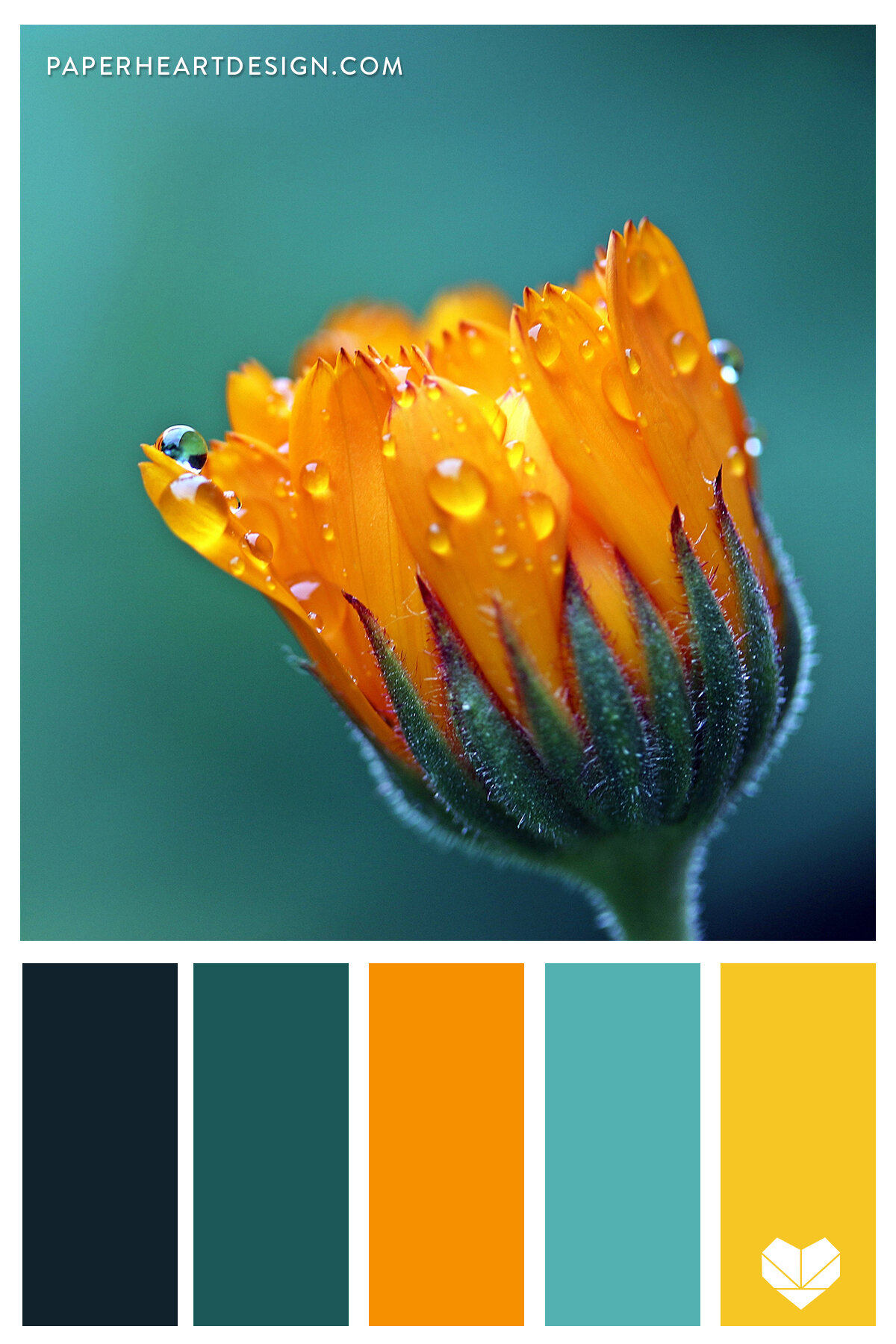 Color scheme palette image  Orange palette, Orange color palettes, Orange  color code