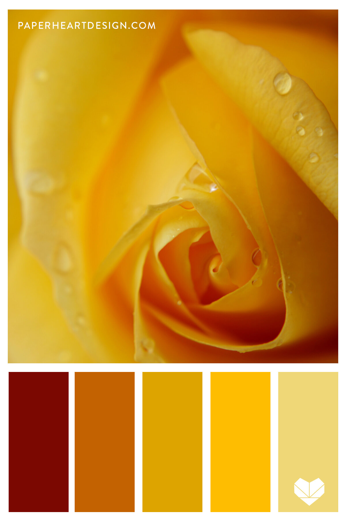 Color Palette: Hello Yellow — Paper Heart Design