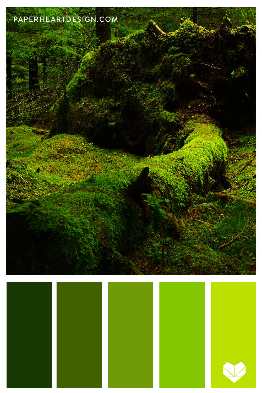 Color Palette: Gorgeous Green — Paper Heart Design