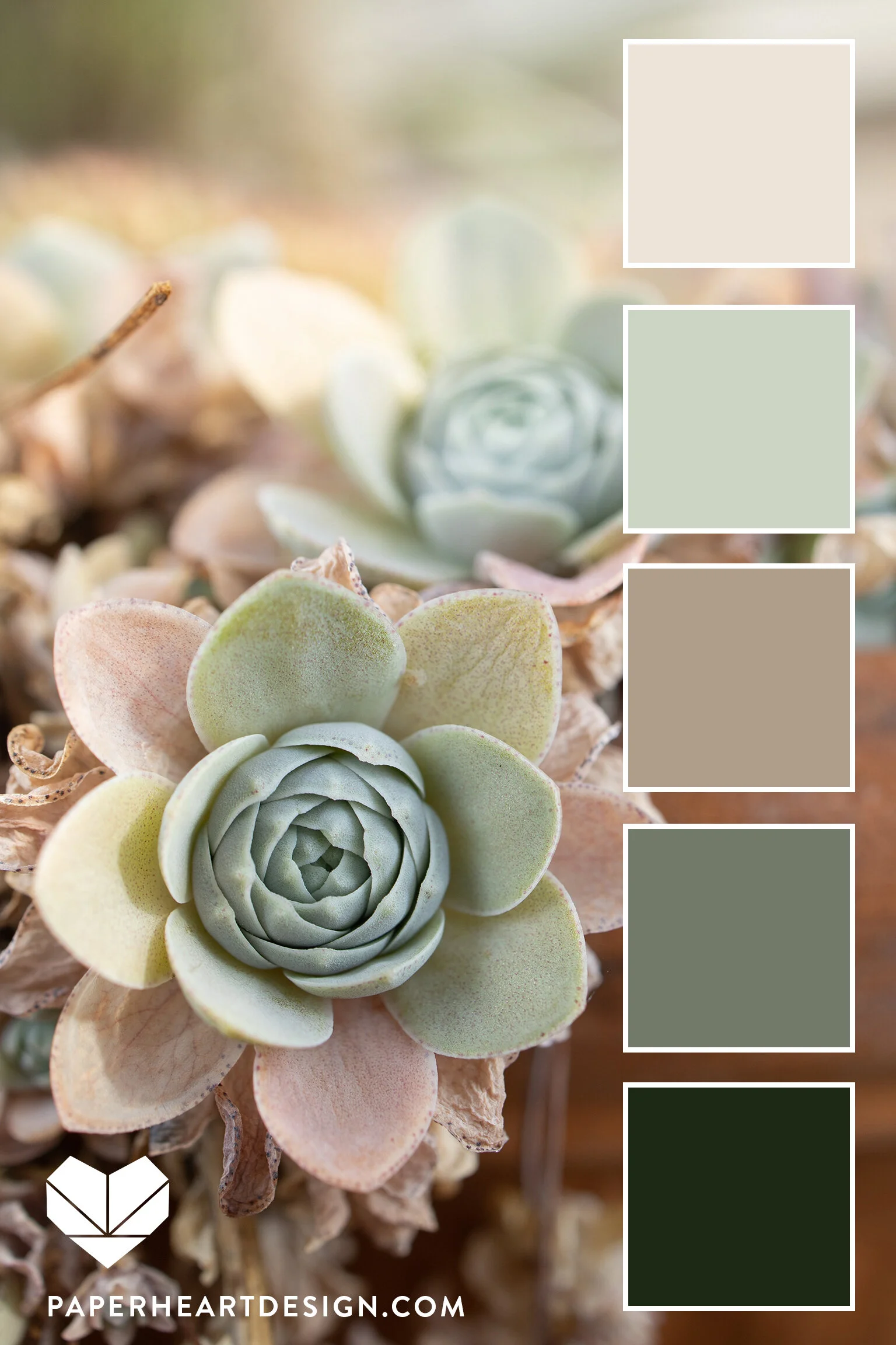 Color Palette: Gorgeous Green — Paper Heart Design Co.