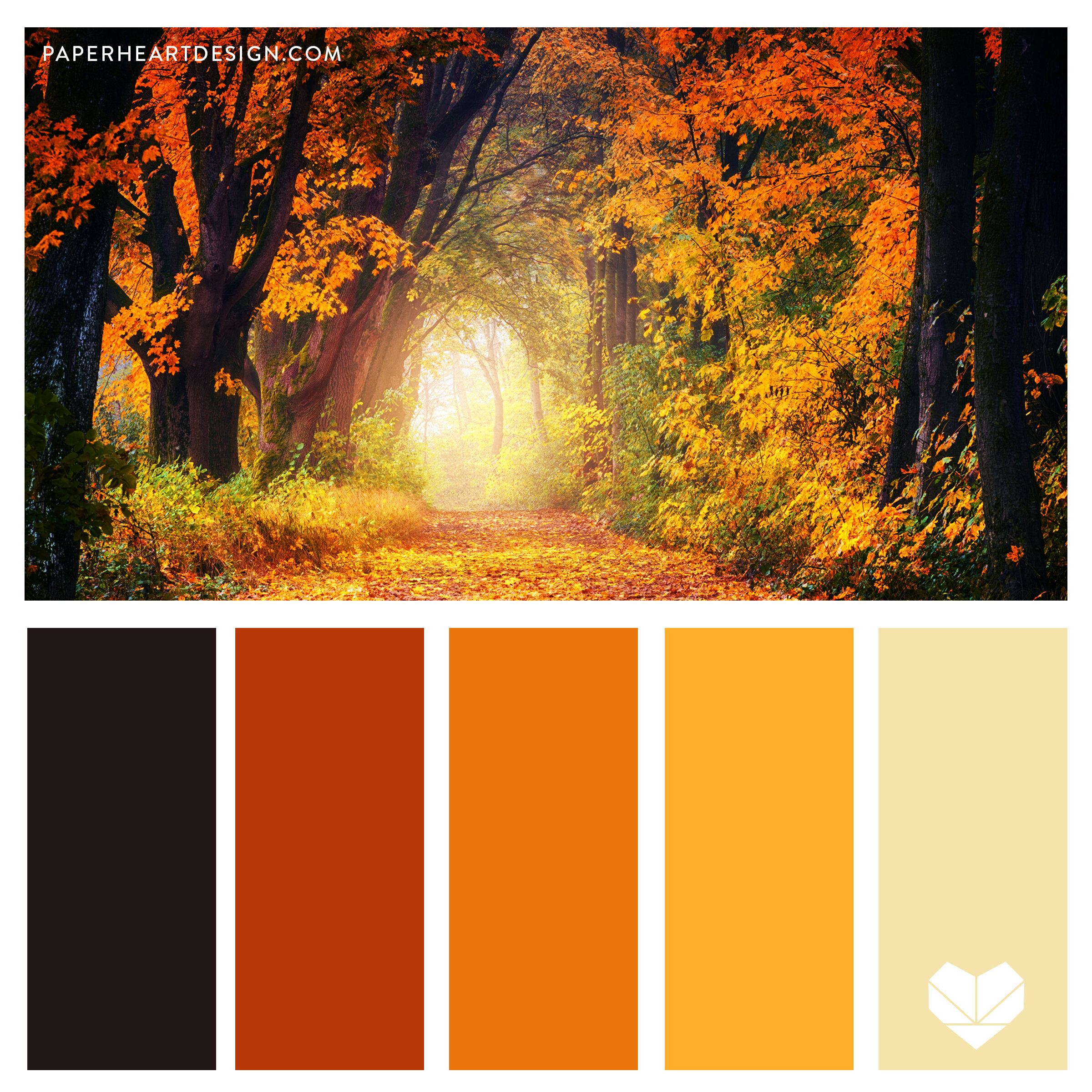 Forest-Autumn SQ.jpg