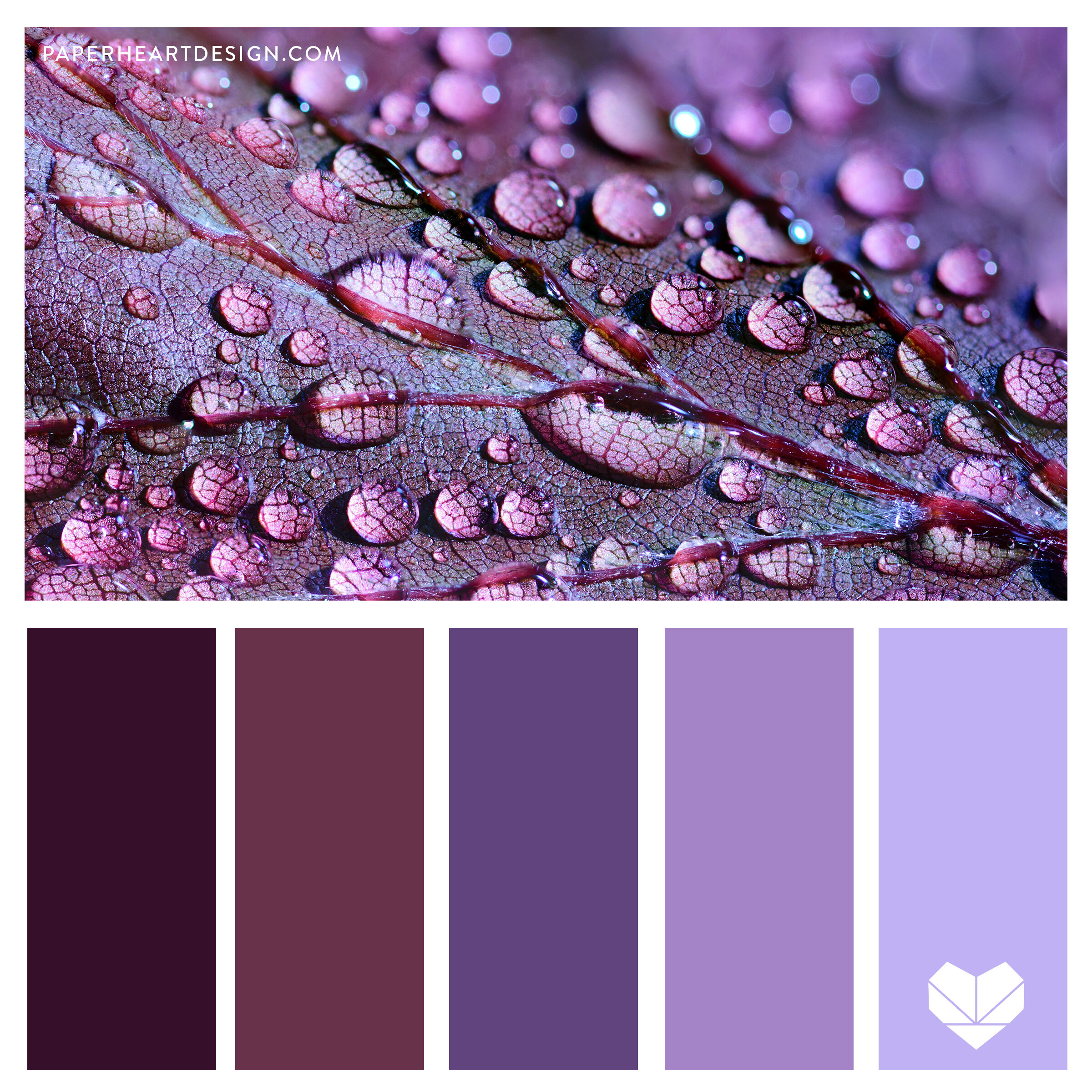 Color Palette: Pleasantly Purple — Paper Heart Design